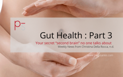 Gut Health and Immunity – Part 3