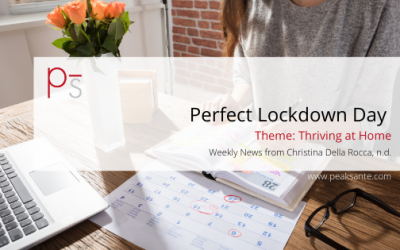 Perfect Lockdown Day