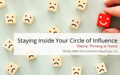 Stay Inside Your Circle of Influence
