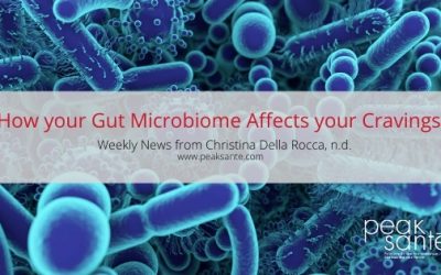 Your Gut Microbiome & Your Cravings.
