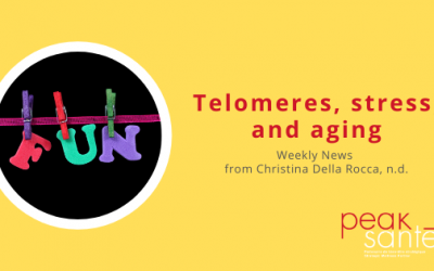 Telomeres, stress, and aging