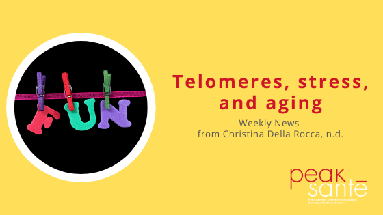 Telomeres, stress, and aging