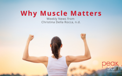 Why muscle matters